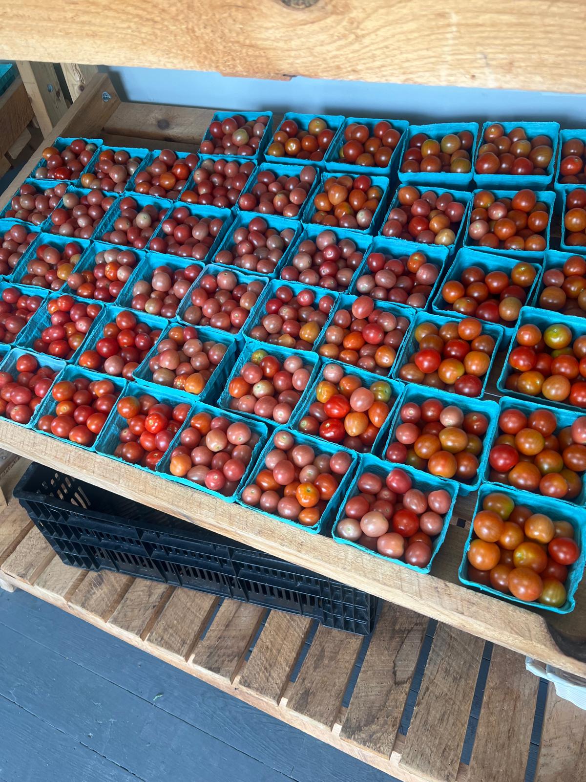 Teal pint baskets of ripe red and orange cherry tomatoes stacked on a wooden farm-stand shelf.